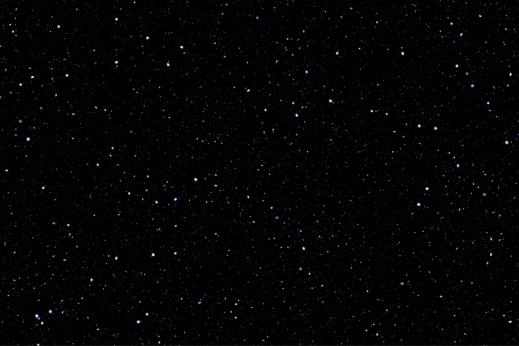 A black night sky with white stars. The Capitalize Campus Stars logo is in the corner.