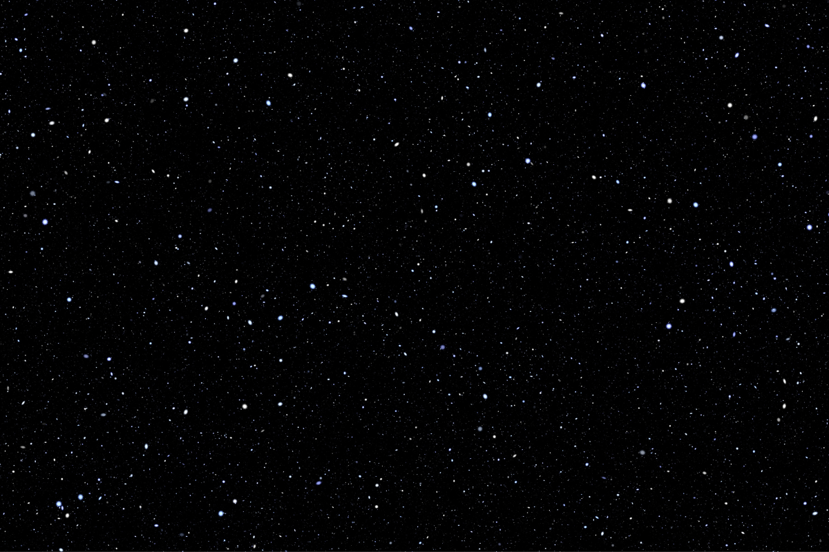 A black night sky with white stars. The Capitalize Campus Stars logo is in the corner.