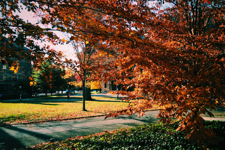 A university campus with fall-coloured trees and students milling about.